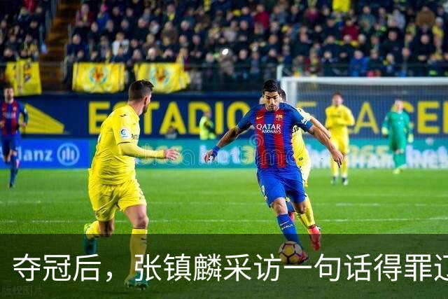 夺冠后，张镇麟采访一句话得罪辽宁！辽蜜：有本事到四川证明价值